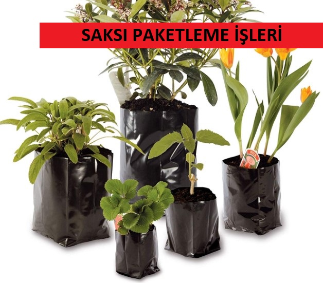 saksı paketleme işi