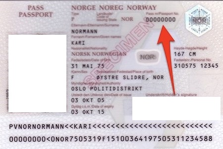 pasaport seri numarası